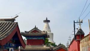 京投會寺院經濟價值共創沙龍（5.29.北京.周四）